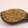 Coriander Seeds