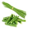 Drumstick Moringa